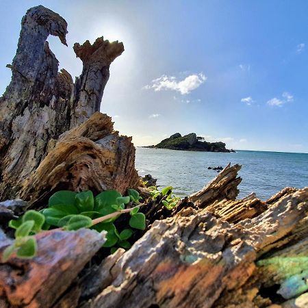 Goat Island Bungalow Ulverstone Exteriér fotografie