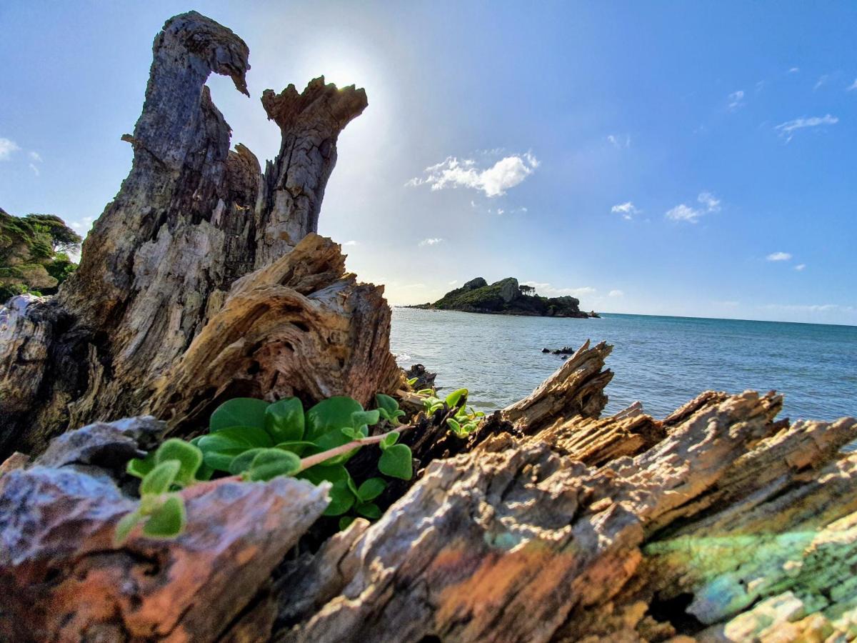 Goat Island Bungalow Ulverstone Exteriér fotografie